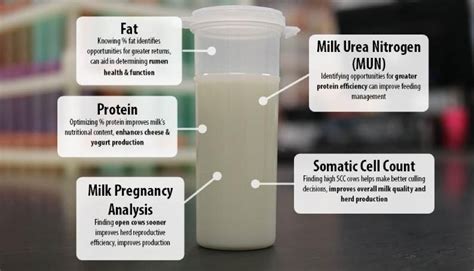 milk analysis test